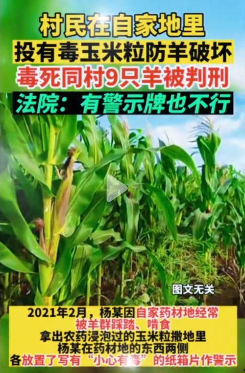 51款吃瓜网,揭秘娱乐圈幕后故事，带你领略明星真实生活