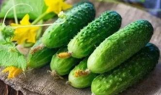 cc.tv吃瓜网,揭秘娱乐圈最新热点，带你畅游八卦海洋