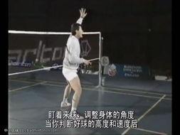 国产后场打法视频,揭秘高效防守策略与战术运用