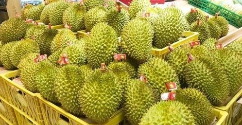 榴莲视频成人版vip